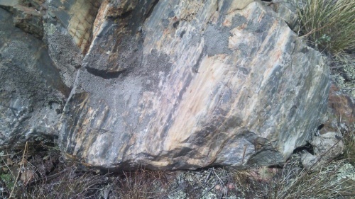 Гигантские зелёные валуны для ландшафтного дизайна весом более 5 тонн купить в Карталах