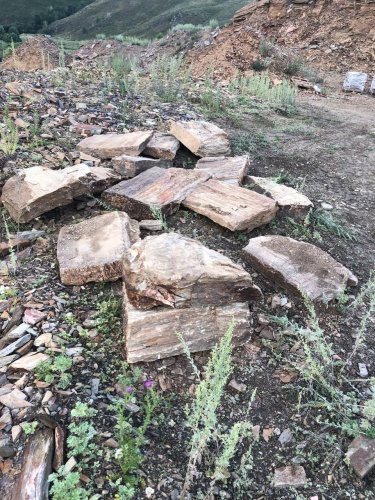 Плитняк кора дерева 50-100мм для пошаговых дорожек купить в Карталах